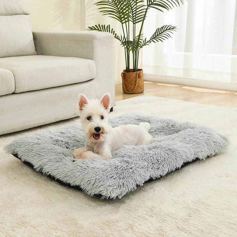 Orthopedic Plush Dog Bed | Soft Grey Sleeping Pet Sofa Mat