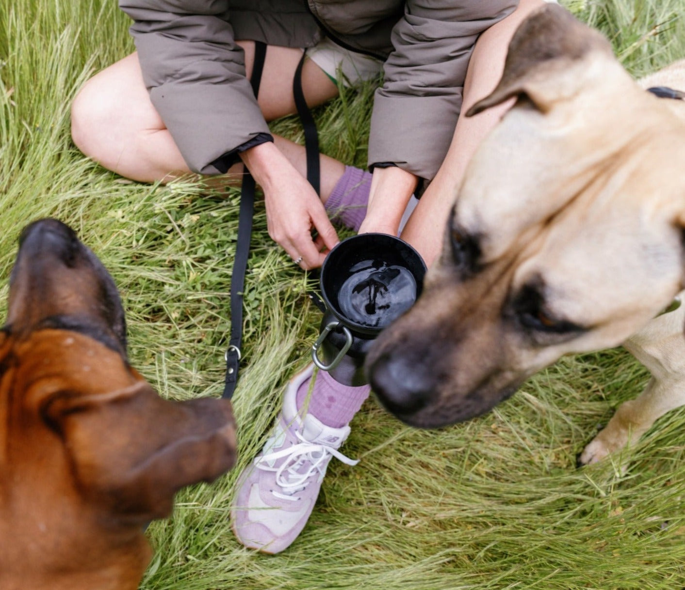 20oz Flip Dog Travel Water Bottle with Fold-Out Bowl