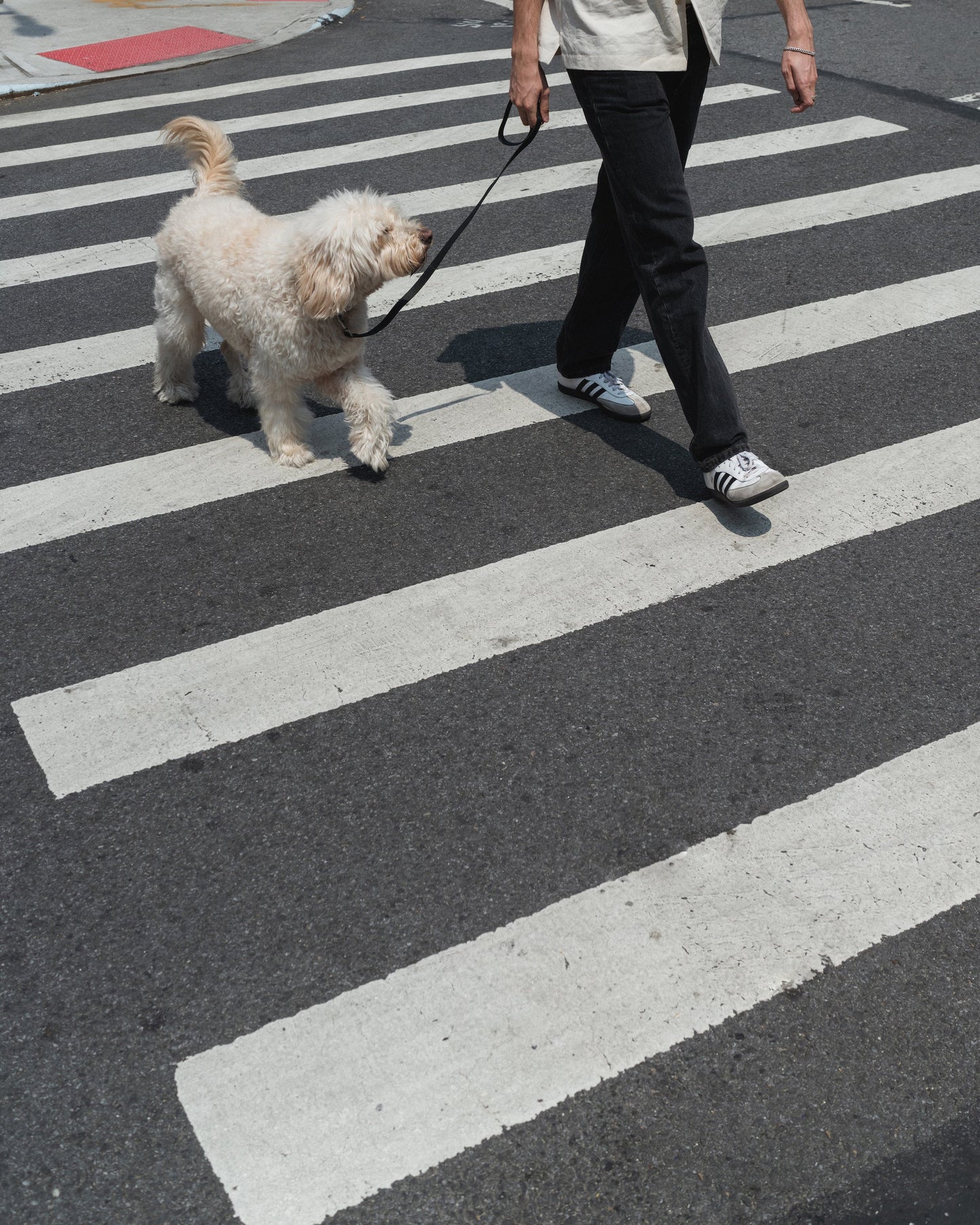 Original City Dog Leash – 3.25ft Short Leash for City Walking