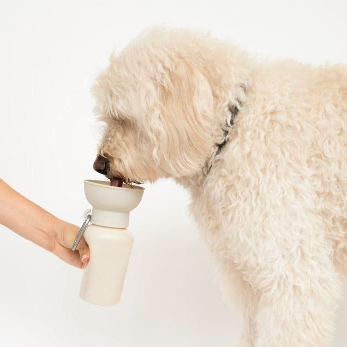 20oz Flip Dog Travel Water Bottle with Fold-Out Bowl