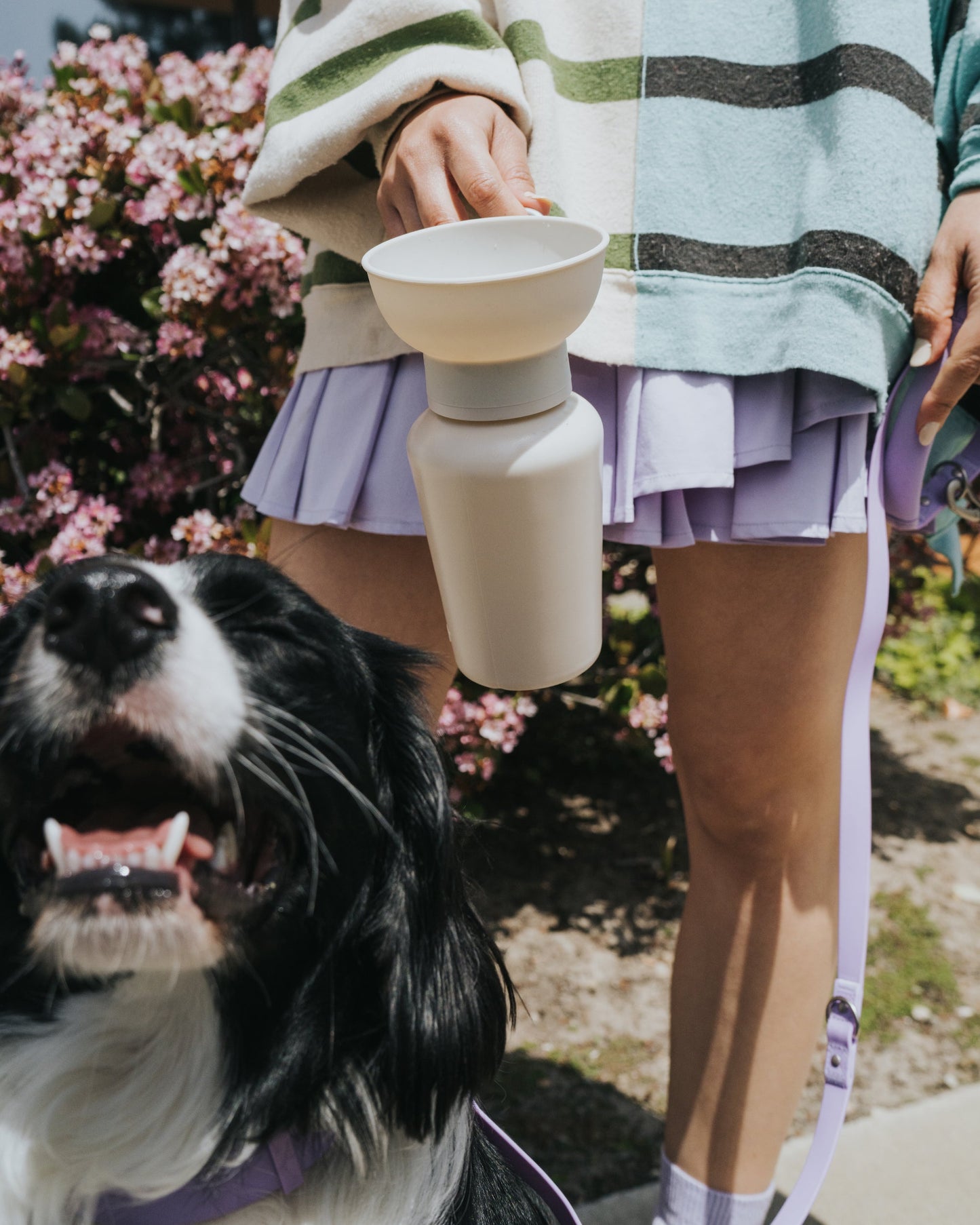 20oz Flip Dog Travel Water Bottle with Fold-Out Bowl