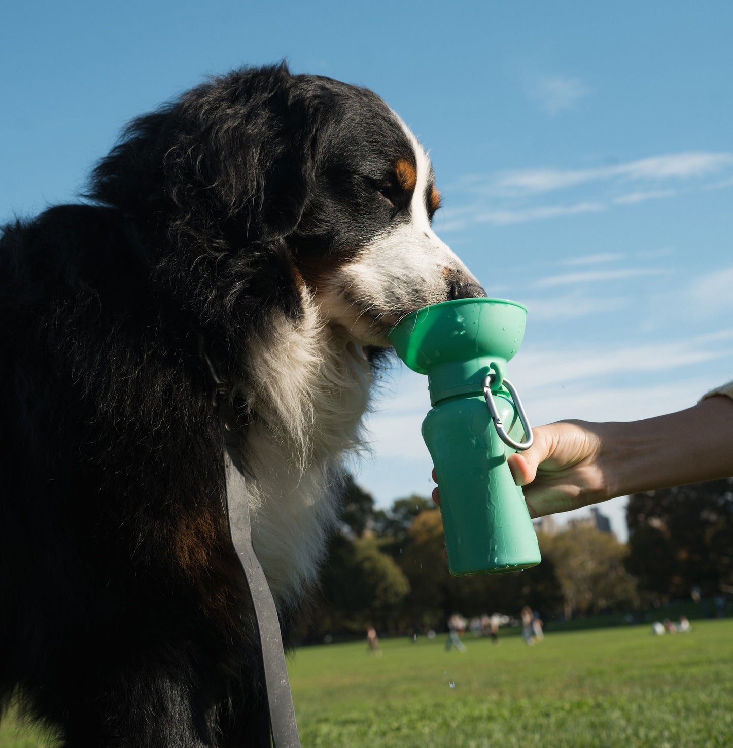 20oz Flip Dog Travel Water Bottle with Fold-Out Bowl