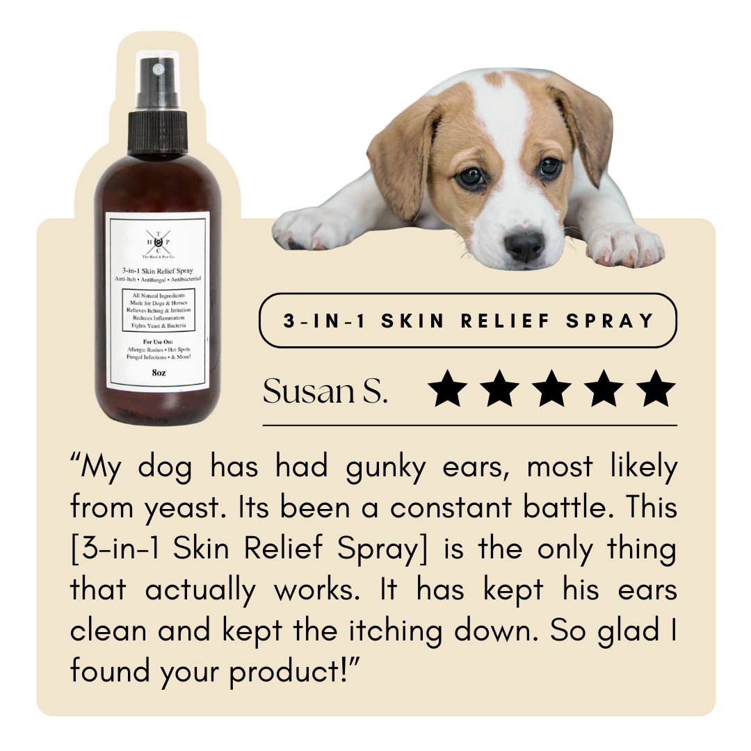 3-in-1 Skin Relief Spray for Dogs | Natural Topical Care