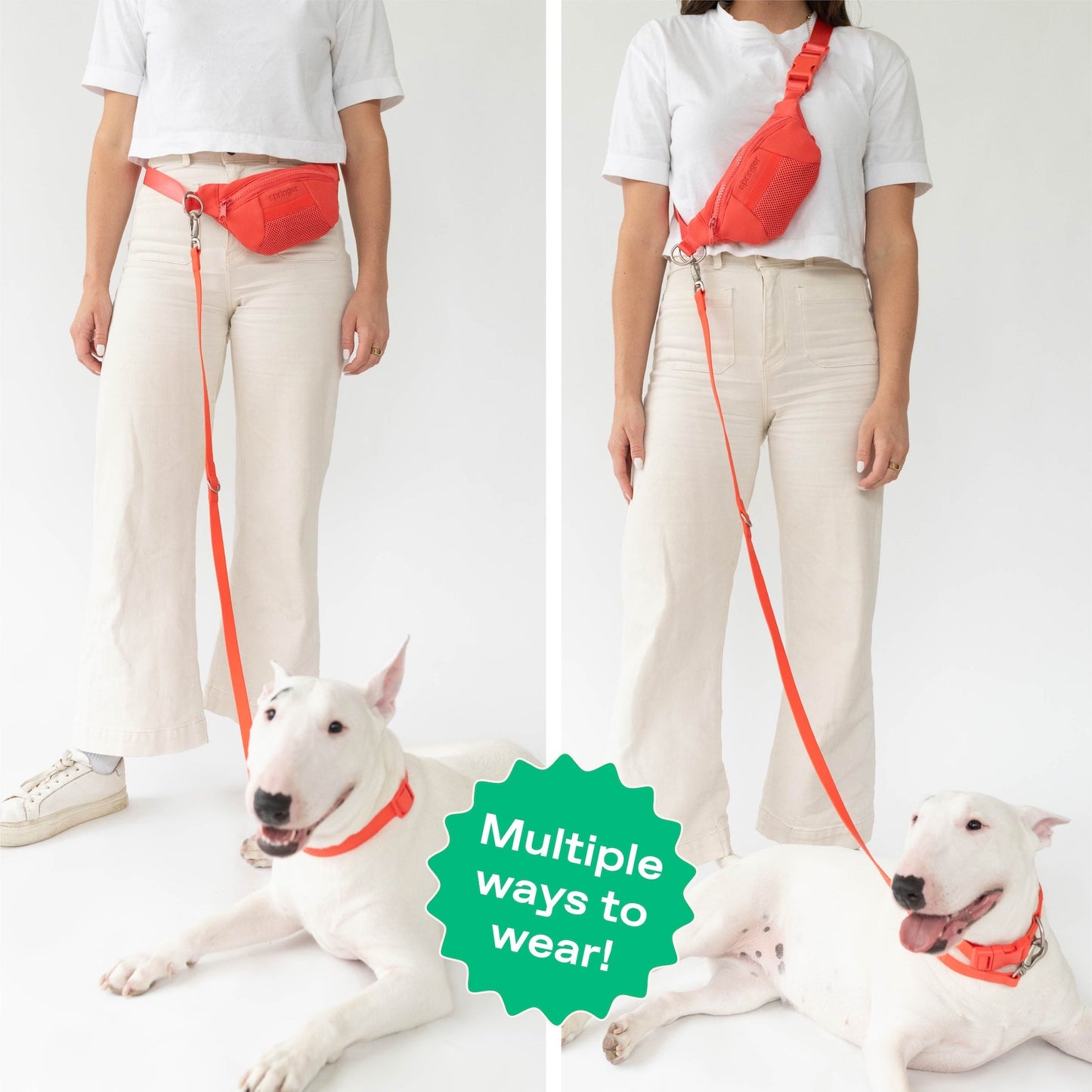 Hands-Free Neoprene Dog Sling Bag with 3.25ft Leash