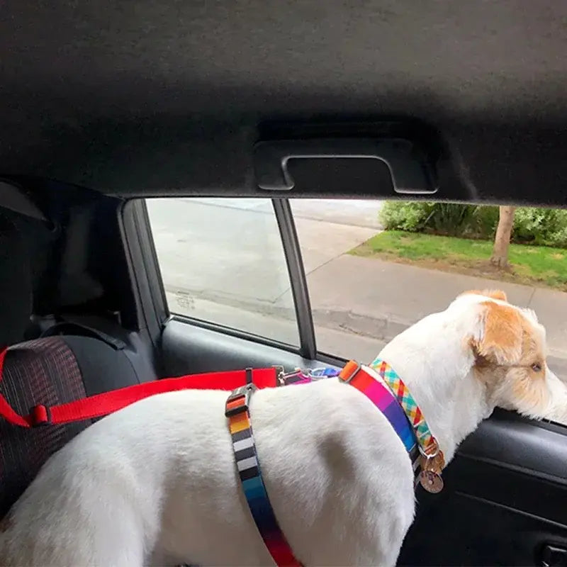 Pet Car Seat Belt and Harness Set for Dogs and Cats