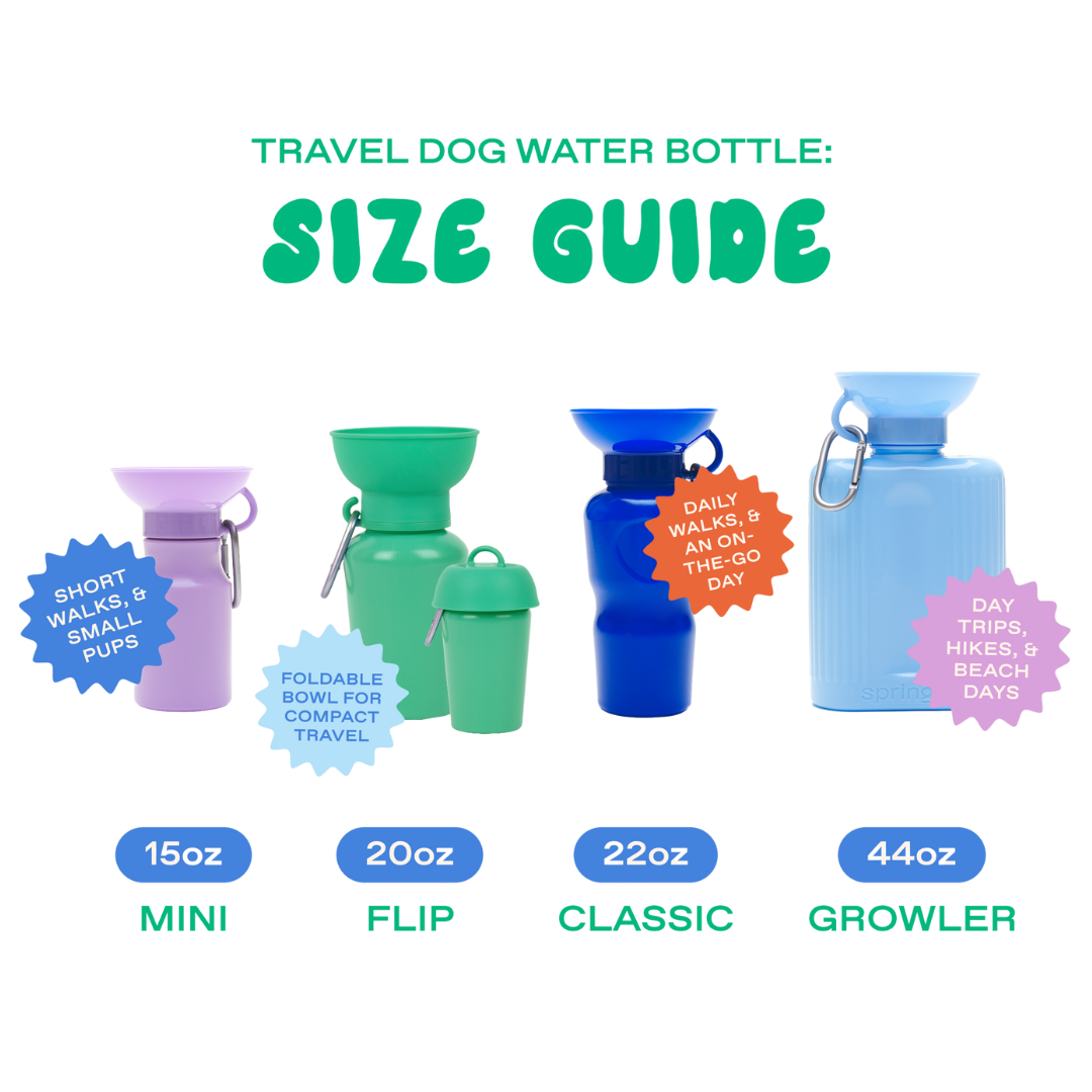20oz Flip Dog Travel Water Bottle with Fold-Out Bowl