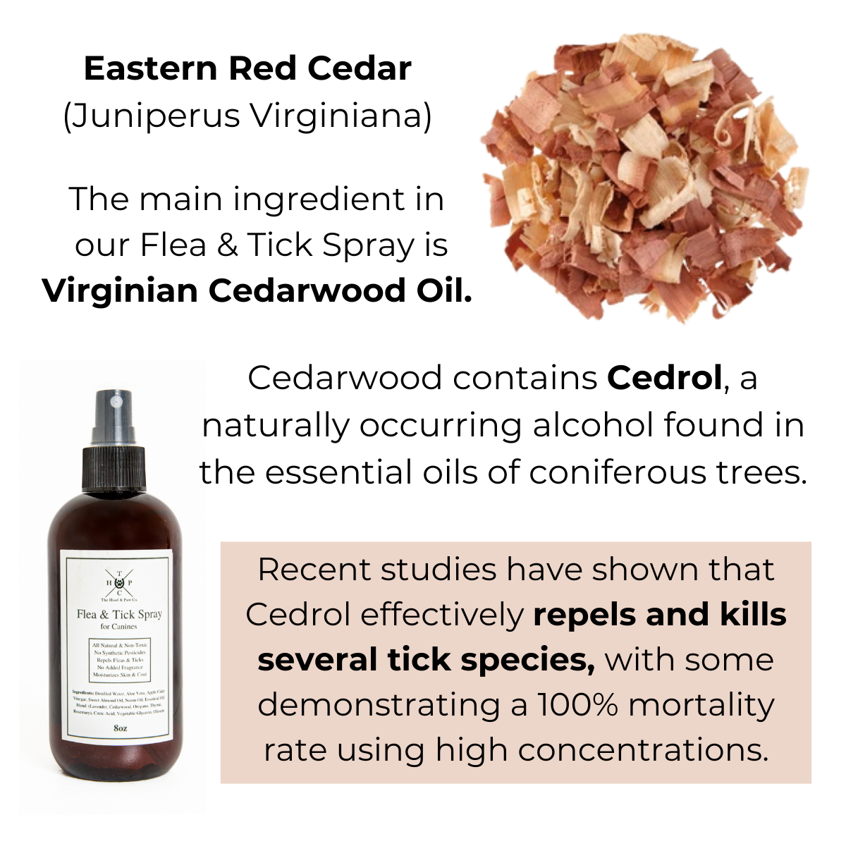 Natural Flea and Tick Spray for Dogs | Plant-Based Neem and Apple Cider Vinegar