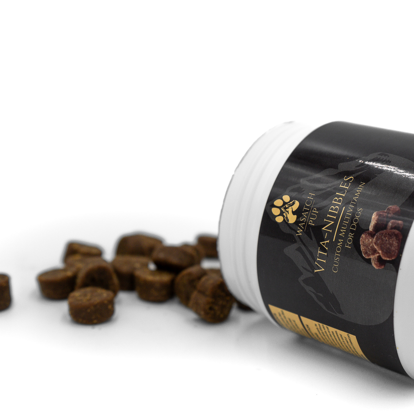 Vita Nibbles Daily Multivitamin for Dogs: Skin, Coat & Immune Support