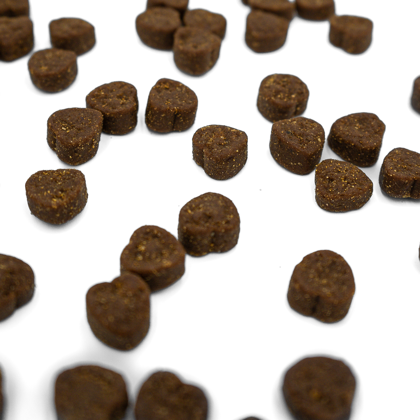 Vita Nibbles Daily Multivitamin for Dogs: Skin, Coat & Immune Support