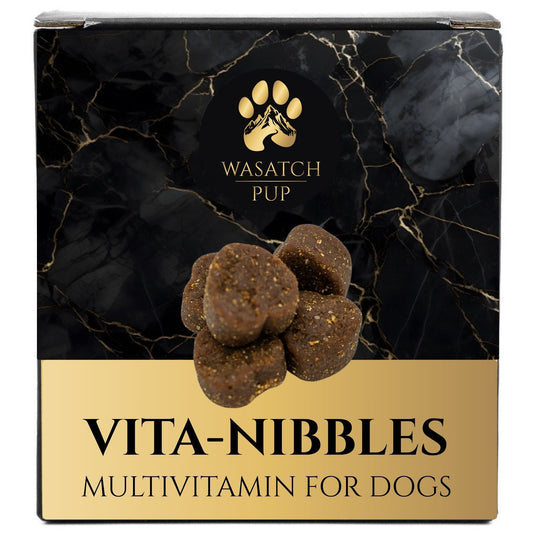 Vita Nibbles Daily Multivitamin for Dogs: Skin, Coat & Immune Support