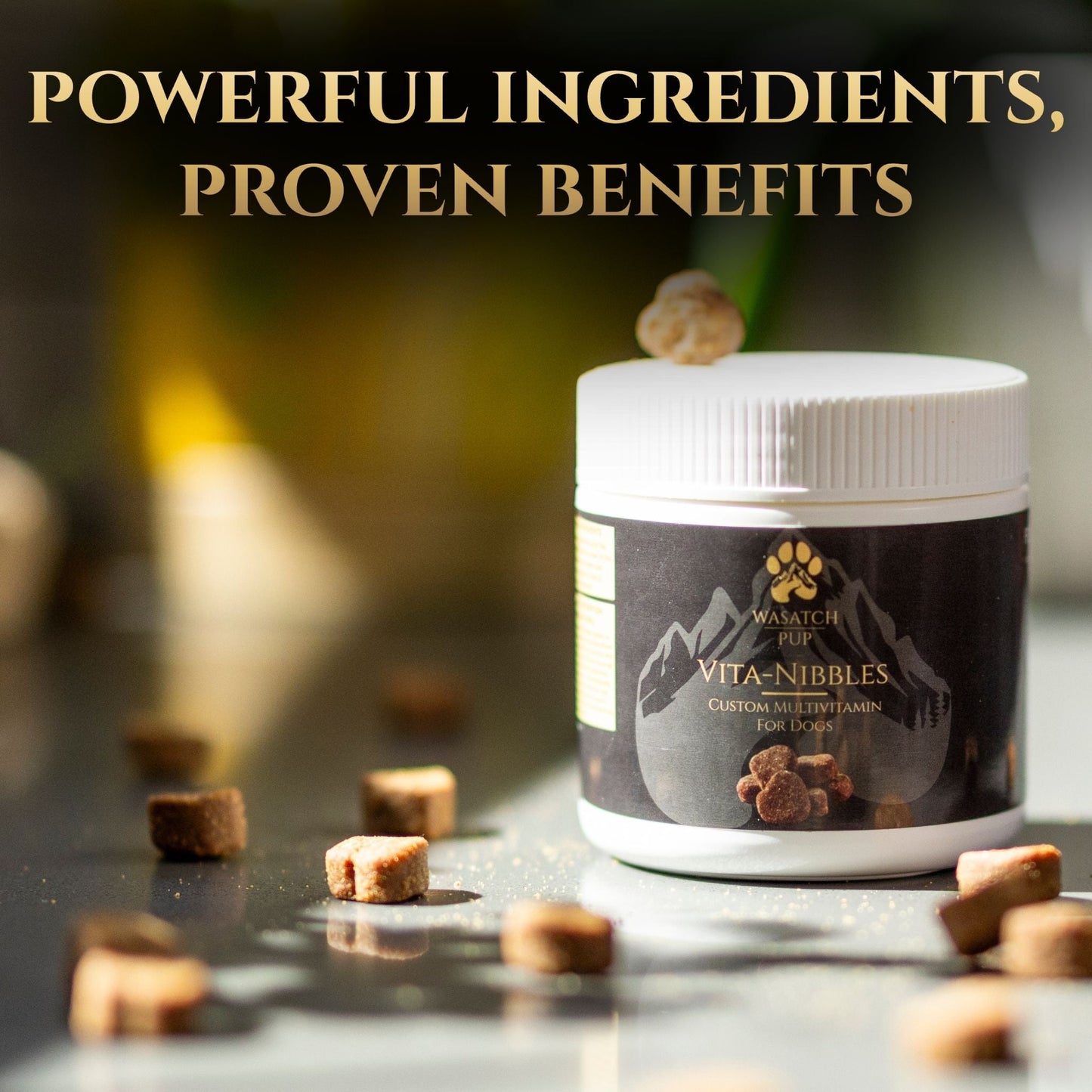 Vita Nibbles Daily Multivitamin for Dogs: Skin, Coat & Immune Support