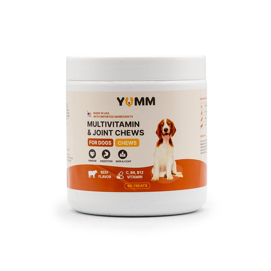 Daily Joint and Multivitamin Soft Chews for Dogs – Glucosamine and Omega 3 Dog Vitamins