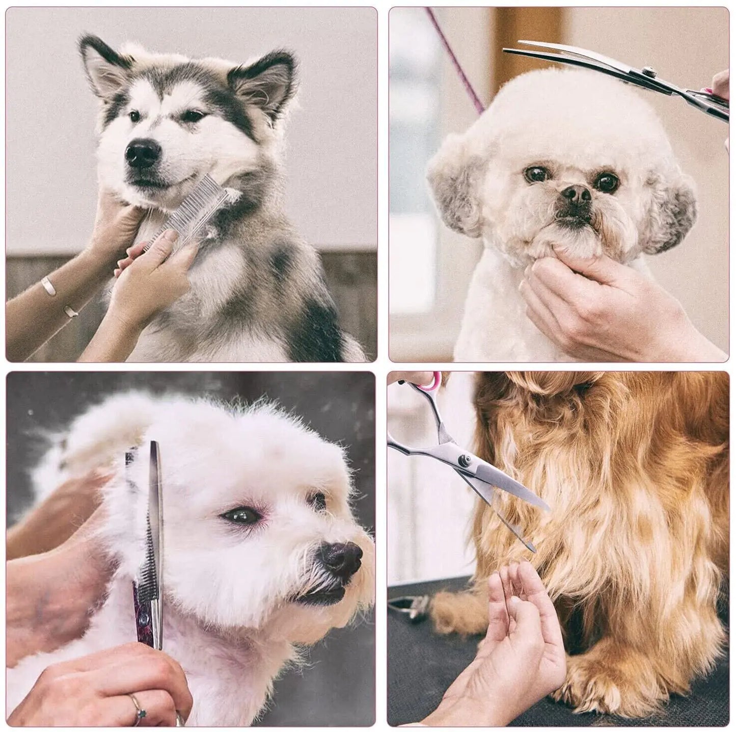 Dog & Cat Grooming Scissors Set | 7-Piece Pet Grooming Kit