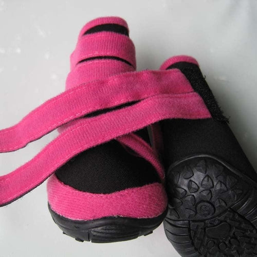 All-Weather Paw Protectors: Premium Neoprene Dog Shoes