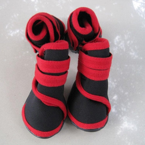 All-Weather Paw Protectors: Premium Neoprene Dog Shoes