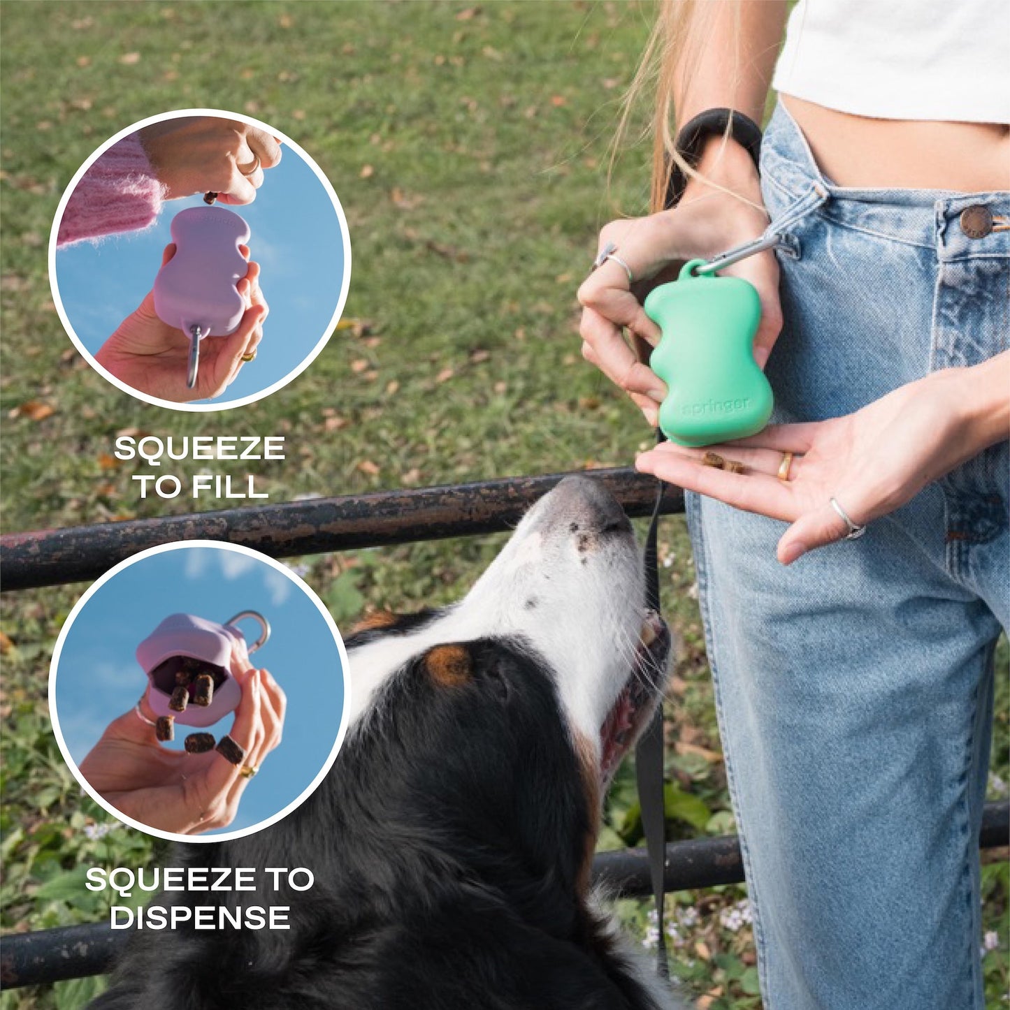 Silicone Dog Treat Dispenser for Training and Walk