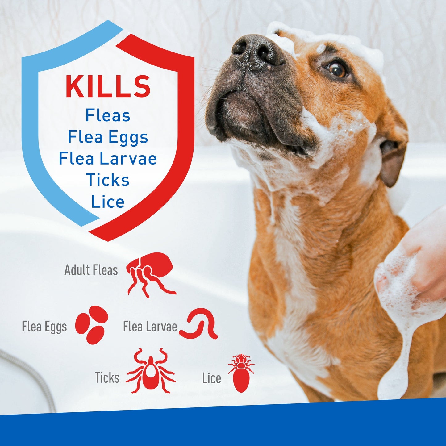 Flea and Tick Foaming Shampoo for Dogs 2-Pack