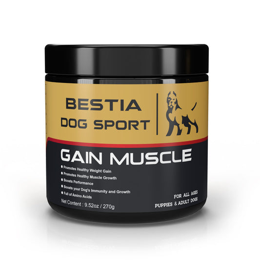 BDS Gain Muscle Dog Food Supplement: High Protein Muscle Builder with Chicken Liver | 120 Count