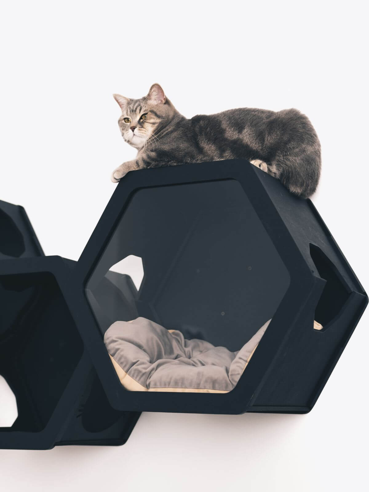 Wall Mounted Cat Bed, Hexagon Cat Shelf | Modern Floating Pet House