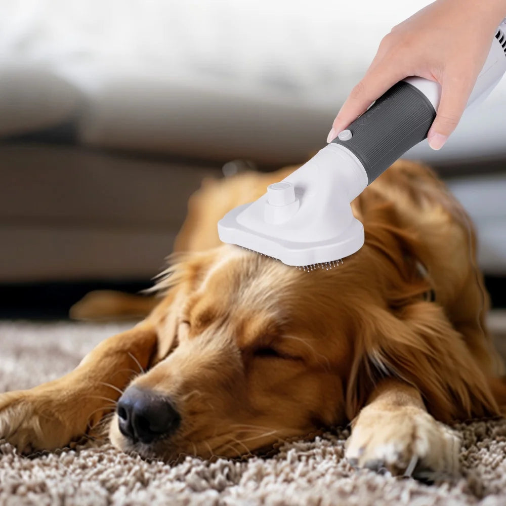 Portable Dog & Cat Grooming Dryer | 2-in-1  Blow Dryer Brush for Pets