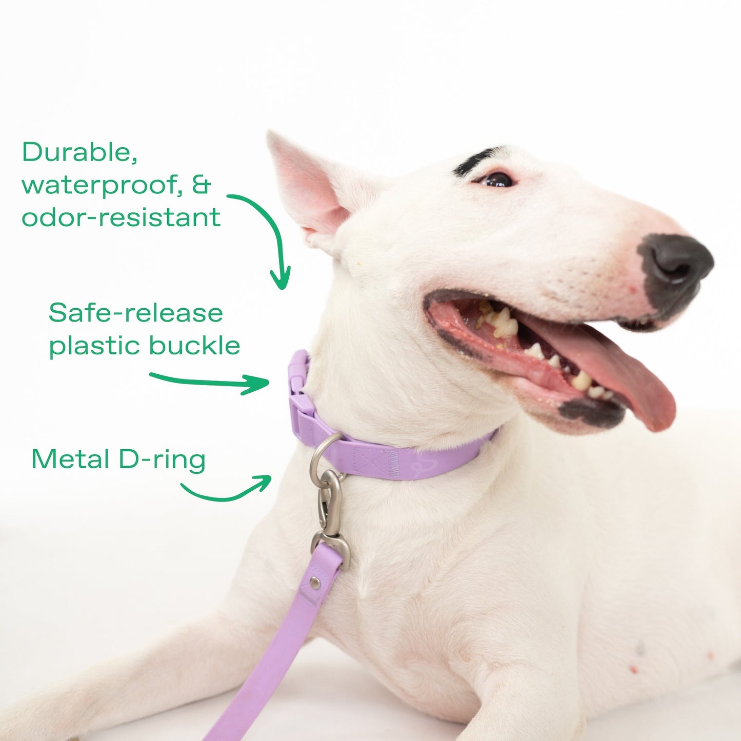 Original Waterproof Dog Collar for Everyday Walks