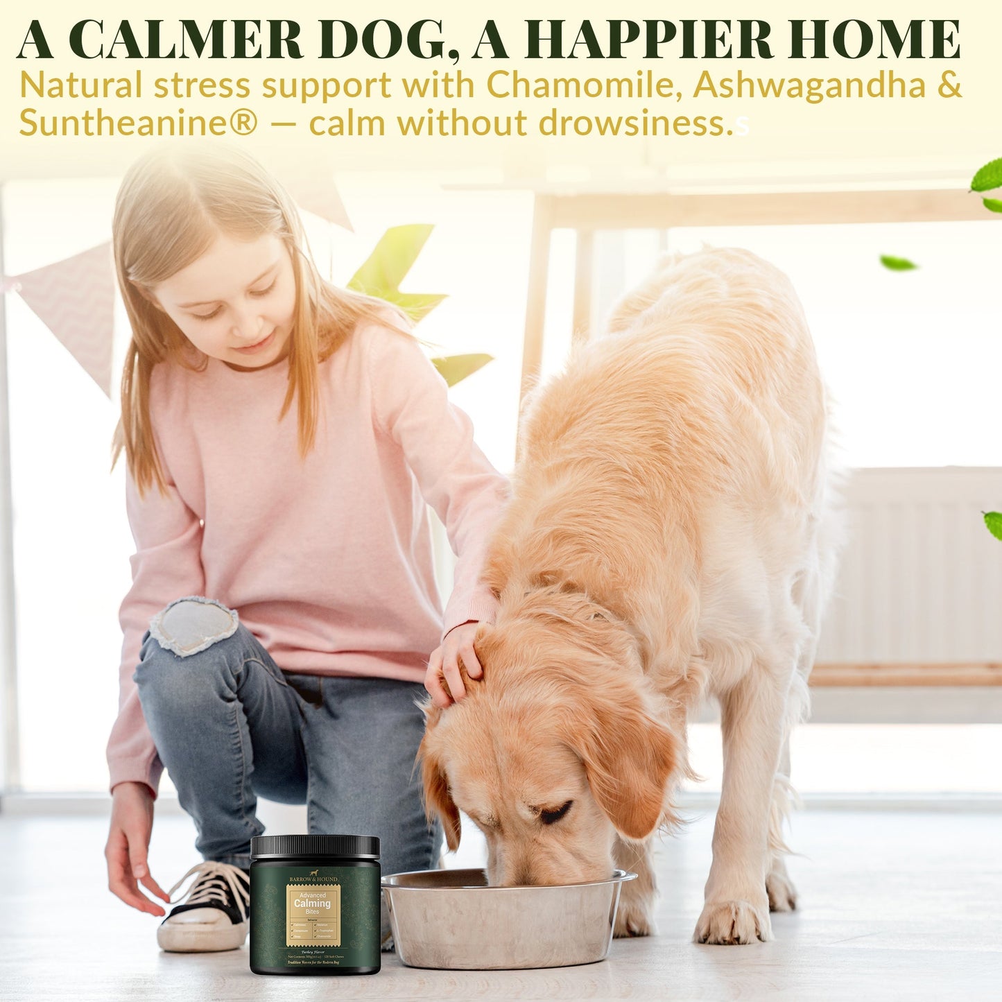 Barrow & Hound Calming Bites: Stress and Anxiety Relief for Dogs | Turkey Flavor Soft Chews