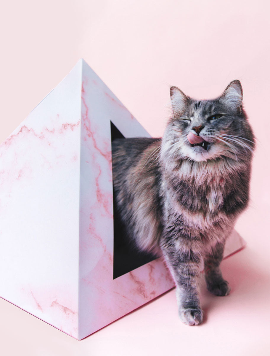 Cardboard Cat House, Modern Cat Pyramid | Rose Quartz Geometric Design