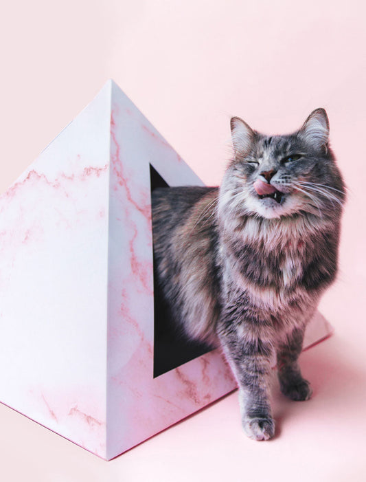 Cardboard Cat House, Modern Cat Pyramid | Rose Quartz Geometric Design