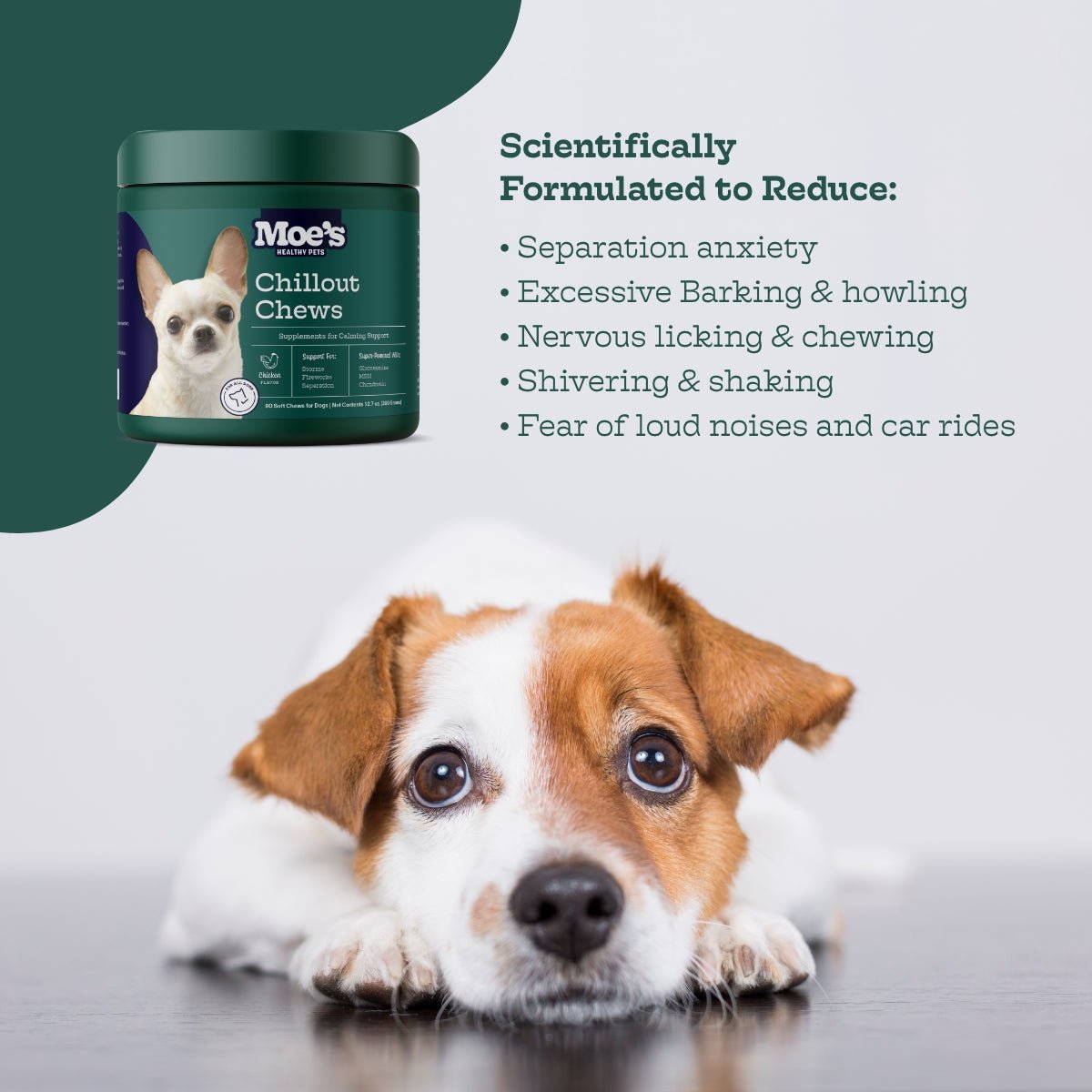 Chillout Chews for Dogs – Natural Relaxation Support for Thunderstorms & Anxiety