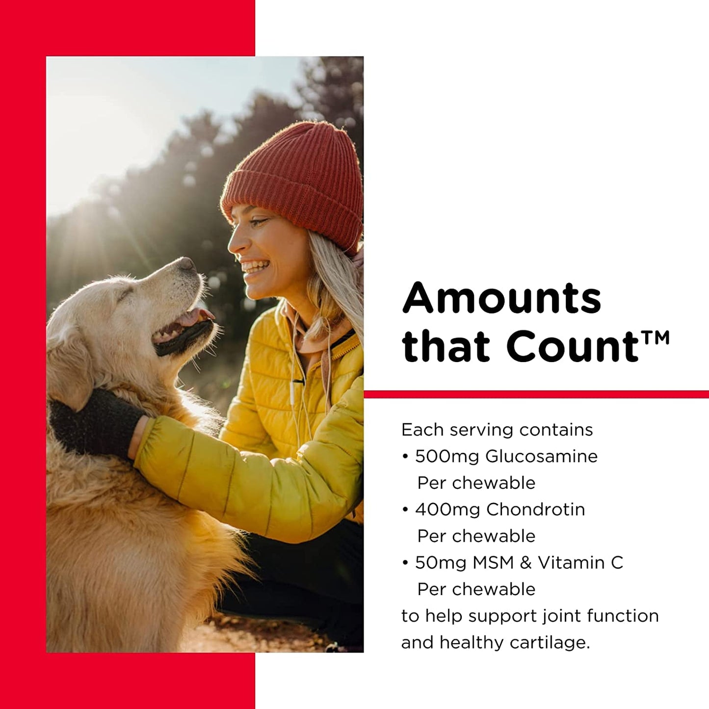 Nutri-Vet Advanced Hip & Joint Support for Senior Dogs – Extra Strength Chewable Tablets