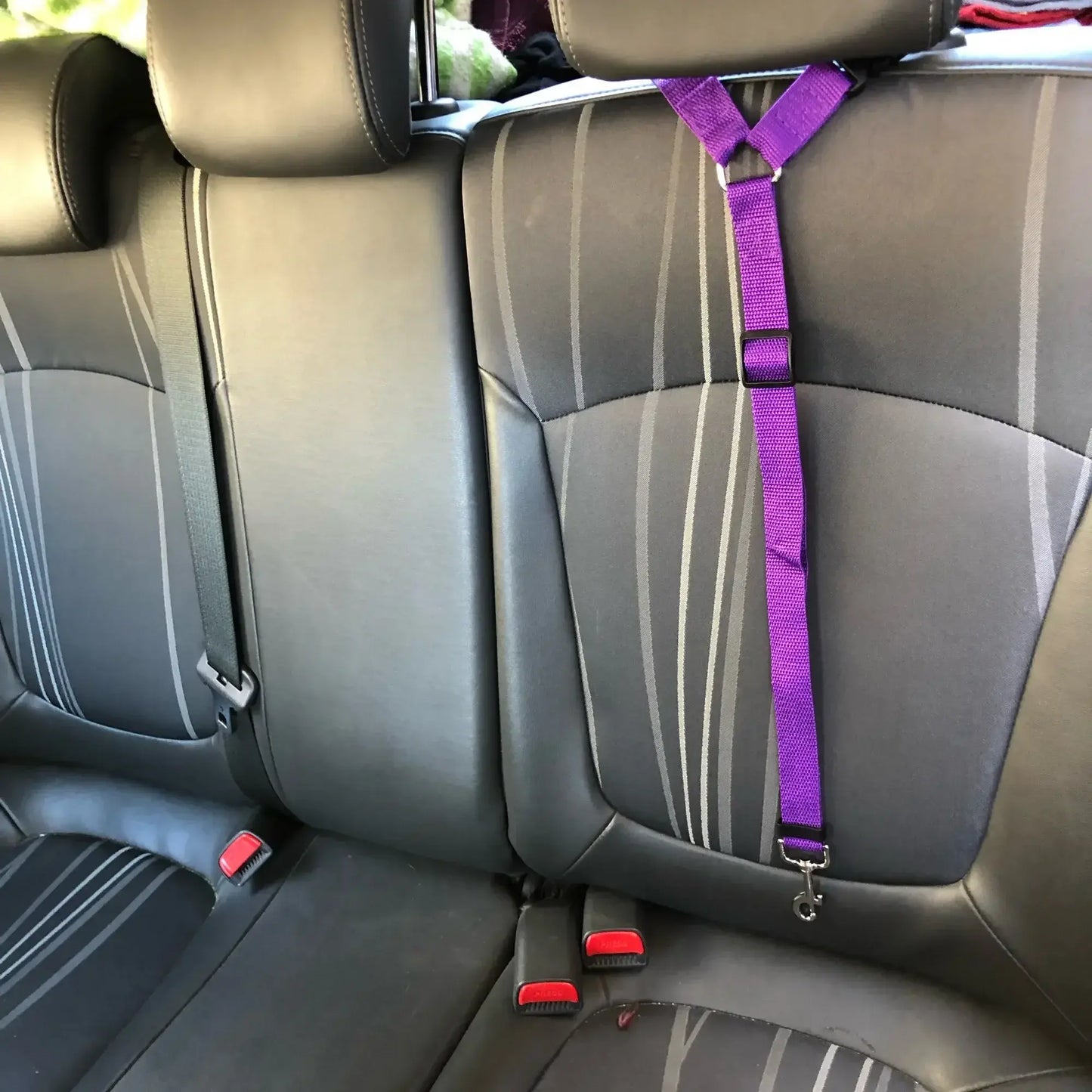 Pet Car Seat Belt and Harness Set for Dogs and Cats