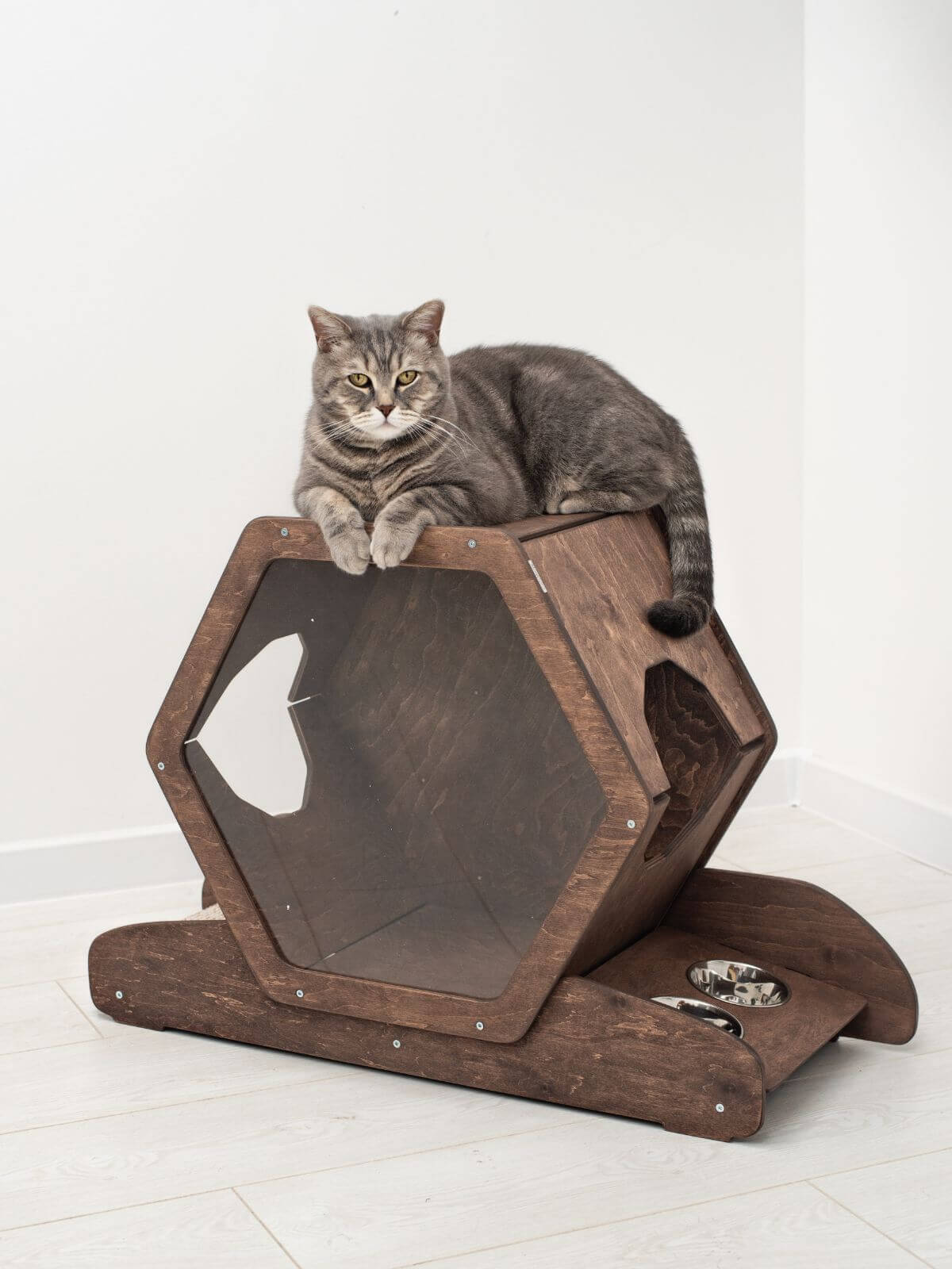 Wall Mounted Cat Bed, Hexagon Cat Shelf | Modern Floating Pet House
