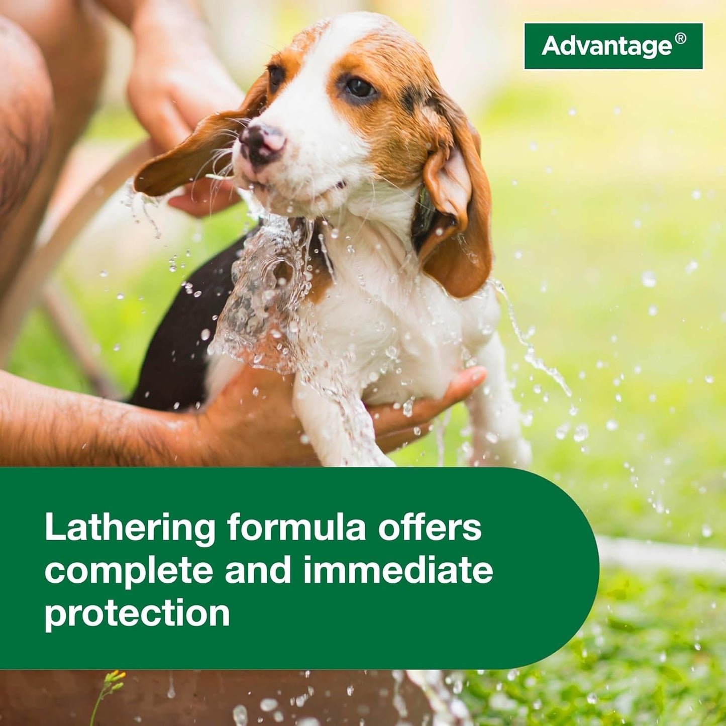 Advantage Flea and Tick Treatment Shampoo for Dogs and Puppies | 12 oz Bottle