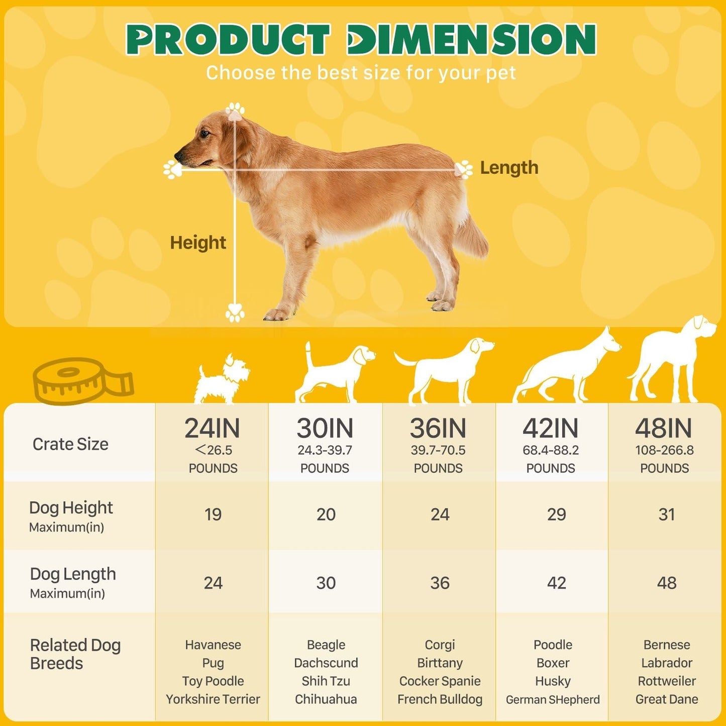 30 Inch Folding Dog Crate | Double Door Dog Cage with Divider
