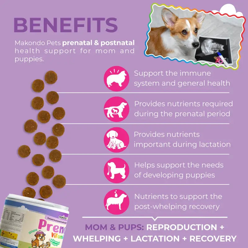 Dog Prenatal Vitamins with Folic Acid and DHA: Maternal & Puppy Support | 120 Count