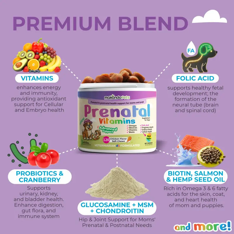 Dog Prenatal Vitamins with Folic Acid and DHA: Maternal & Puppy Support | 120 Count