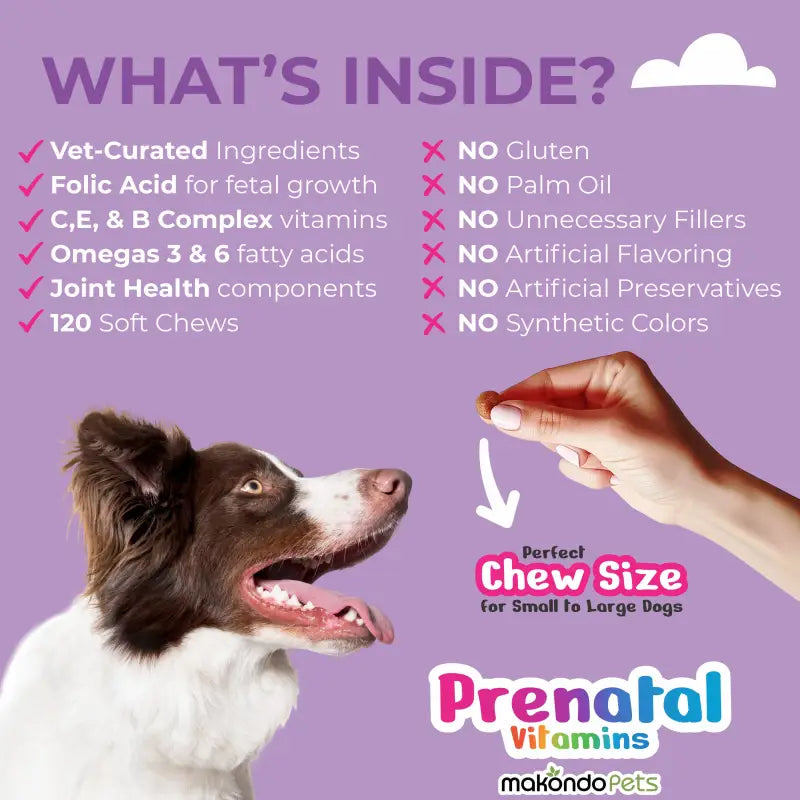 Dog Prenatal Vitamins with Folic Acid and DHA: Maternal & Puppy Support | 120 Count