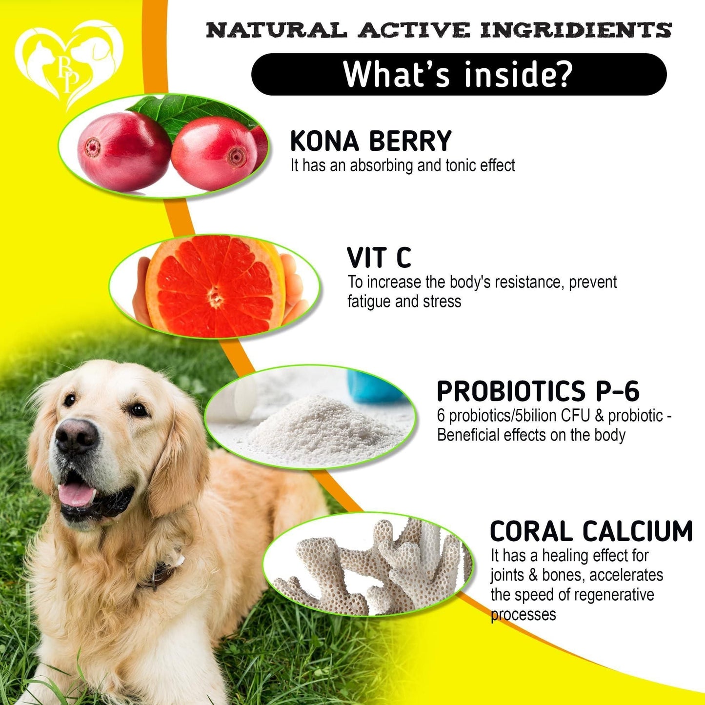 Beloved Pets Dog Anti Itch Allergy Relief Chews: Pet Probiotics for Itchy Skin | 140 Count