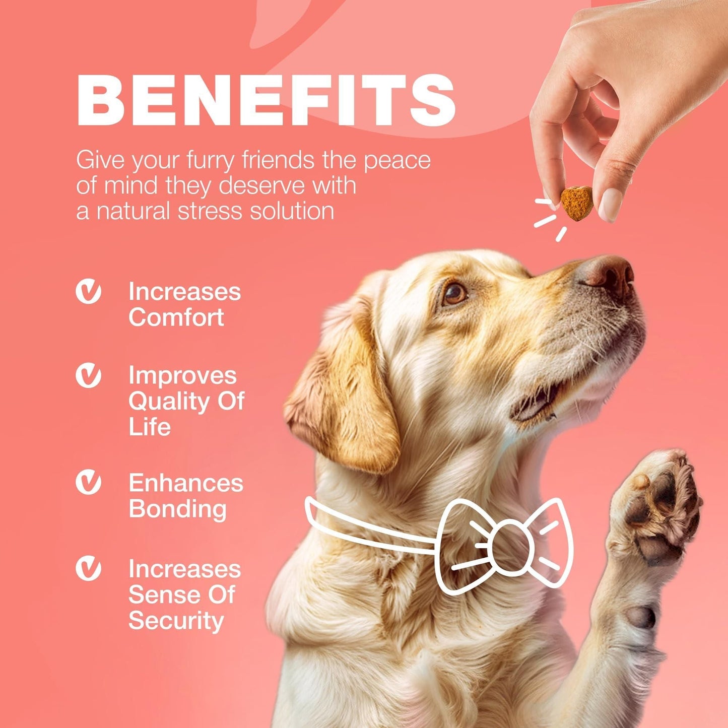 Dog Flea and Tick Treatment Chews: Natural Prevention and Immune Support | 120 Count