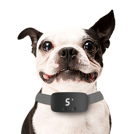 Touch-Activated Anti-Barking Trainer for Dogs