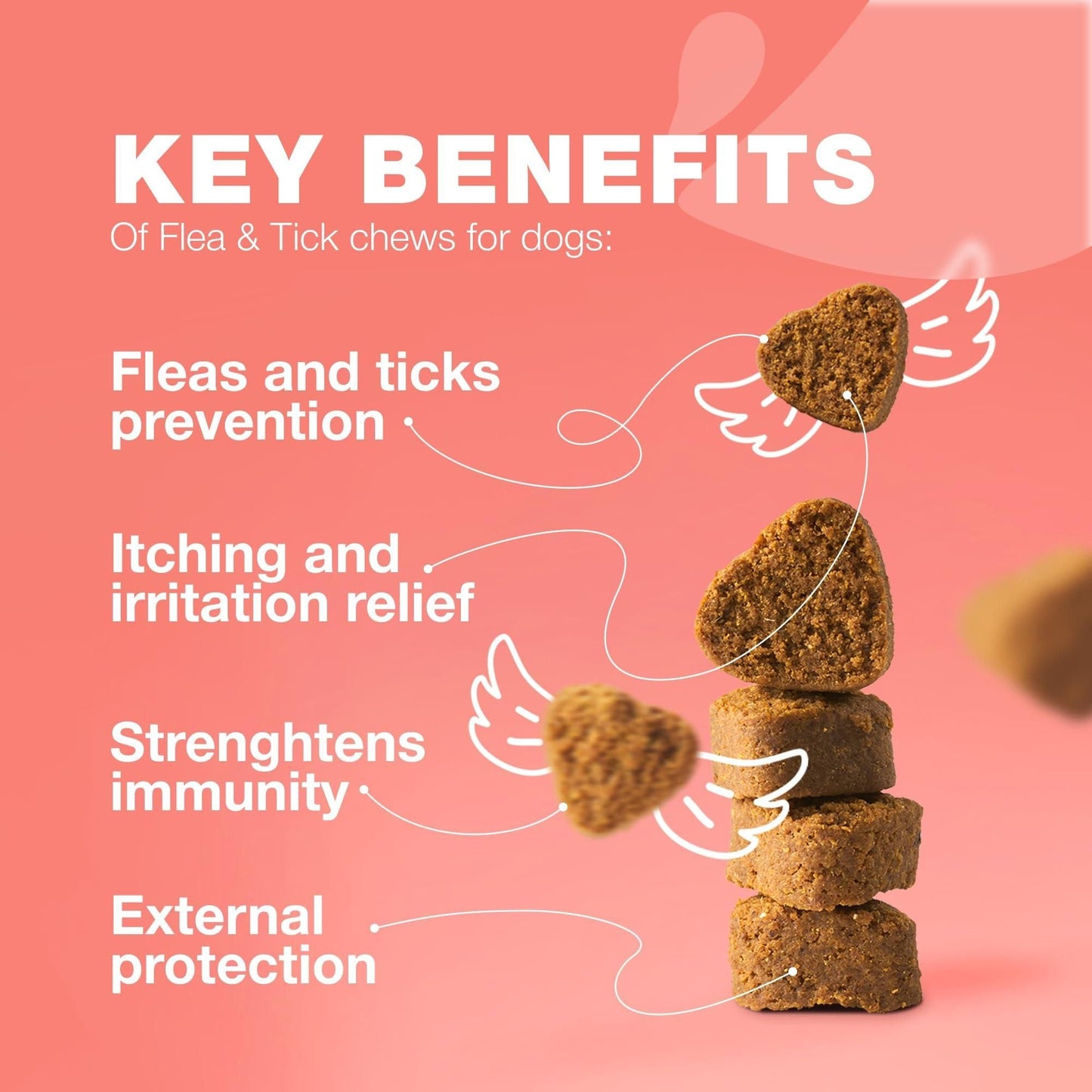 Dog Flea and Tick Treatment Chews: Natural Prevention and Immune Support | 120 Count