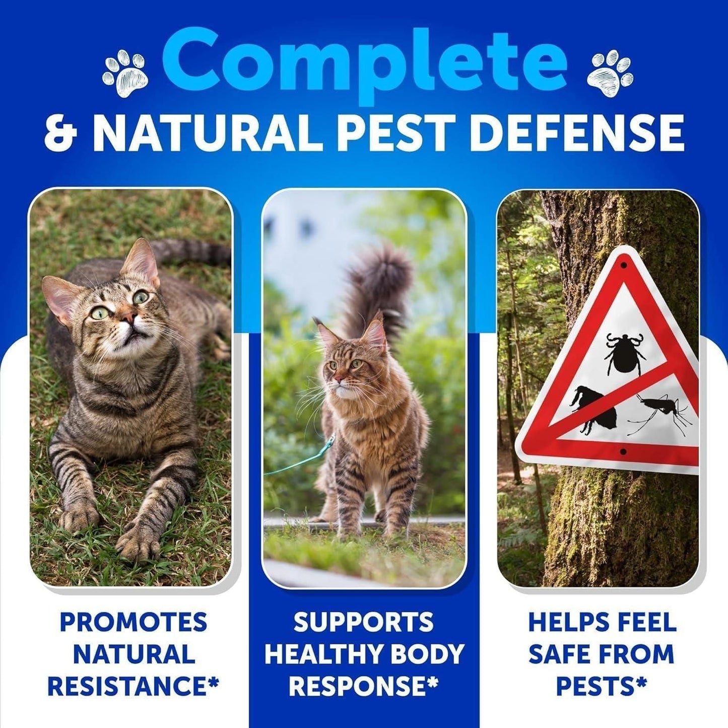 Natural Flea and Tick Prevention for Cats: Daily Multivitamin Soft Chews | 135 Count