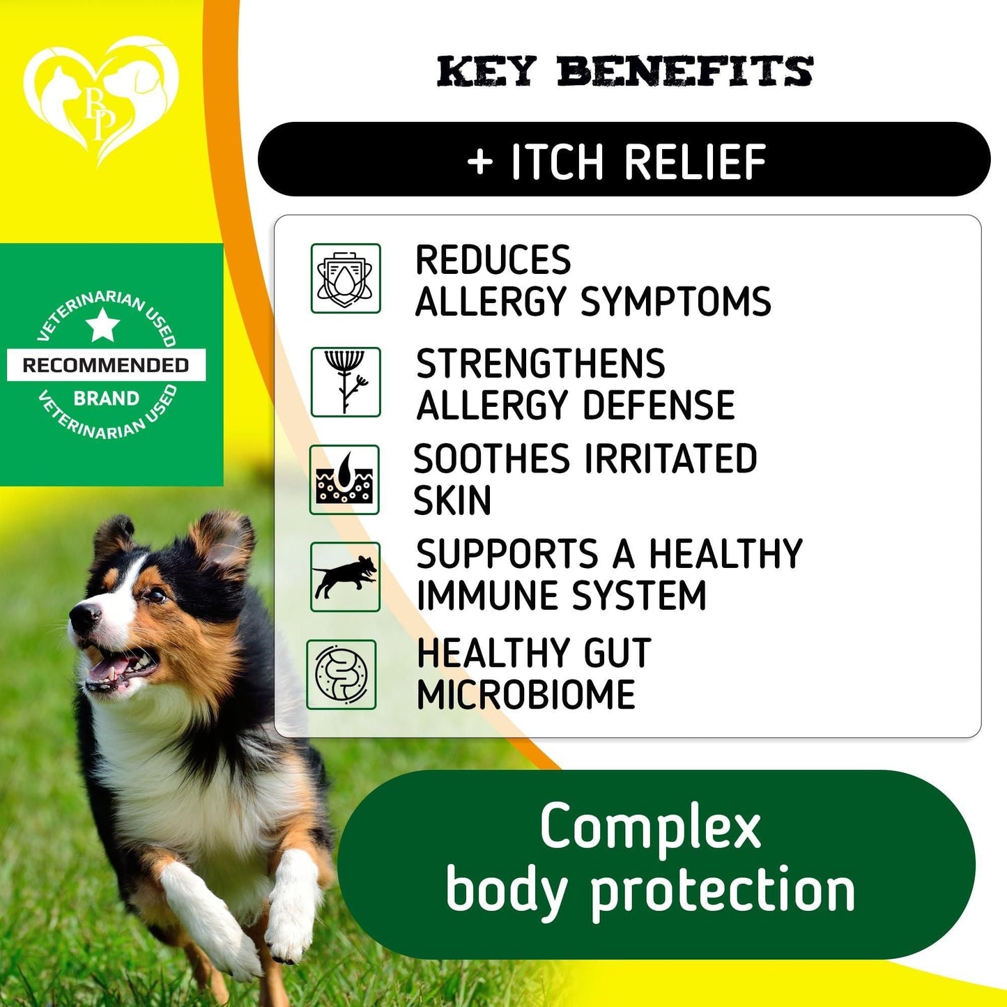 Beloved Pets Dog Anti Itch Allergy Relief Chews: Pet Probiotics for Itchy Skin | 140 Count