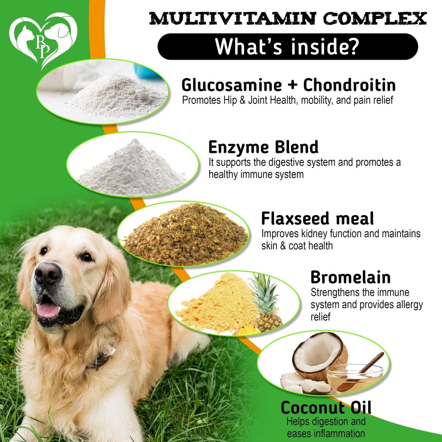 Natural Flea and Tick Prevention for Dogs with Multivitamin Complex | 10 oz
