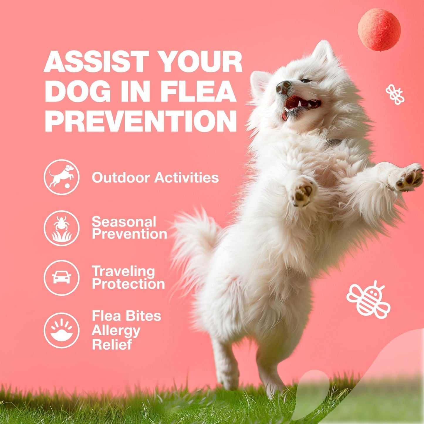 Dog Flea and Tick Treatment Chews: Natural Prevention and Immune Support | 120 Count