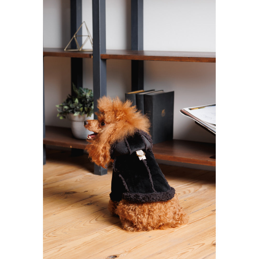 Sheepskin Coat for Dogs