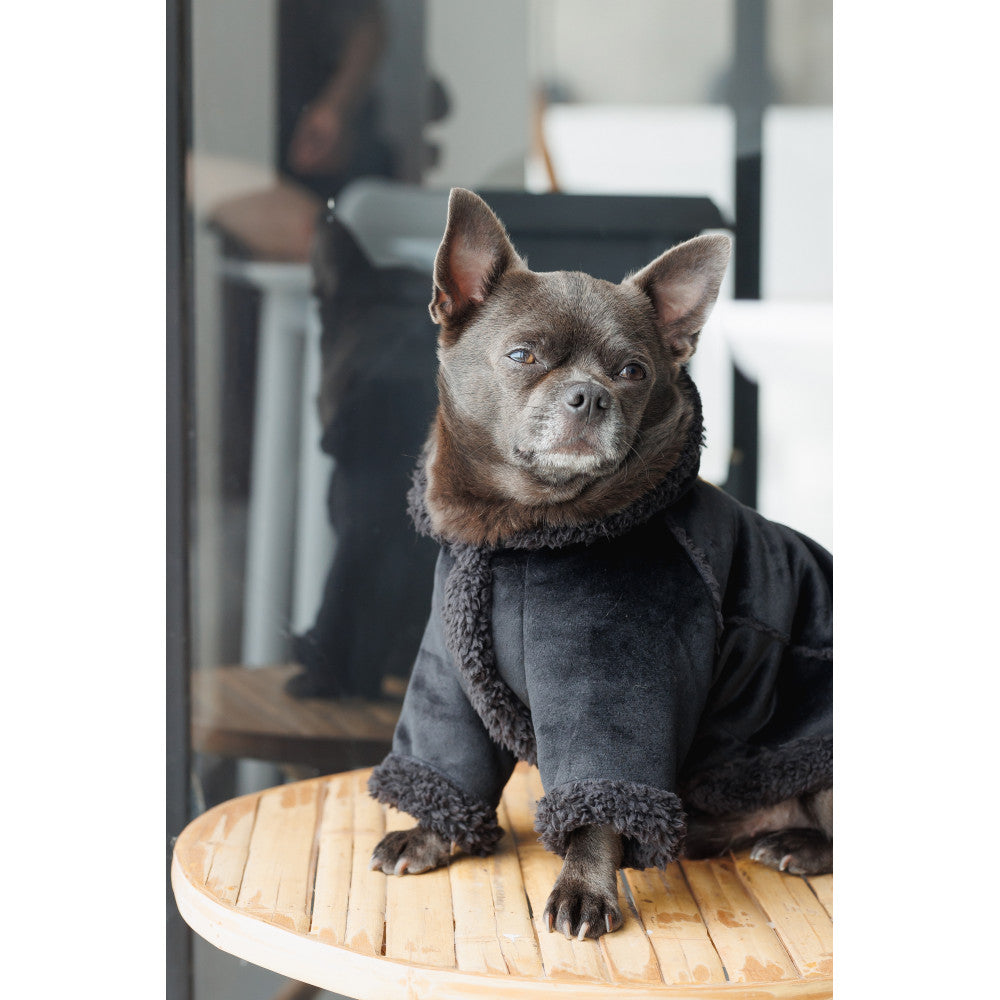 Sheepskin Coat for Dogs