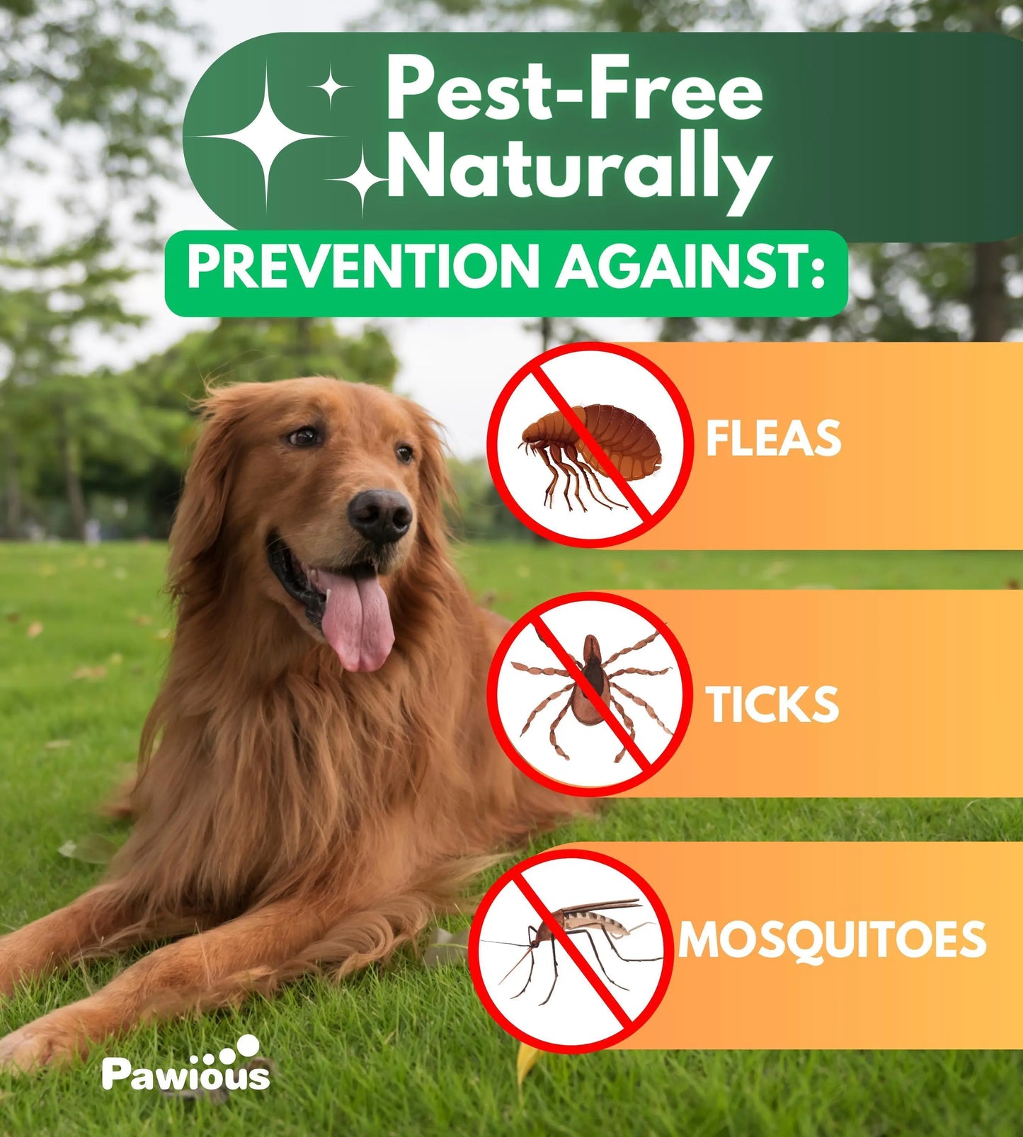 Natural Flea and Tick Prevention for Dogs: Daily Parasite Control Chews | 120 Count