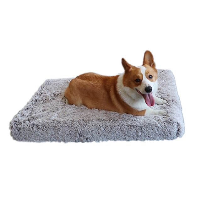 Gray Washable Dog Bed | Plush Pet Mat | Removable Cover