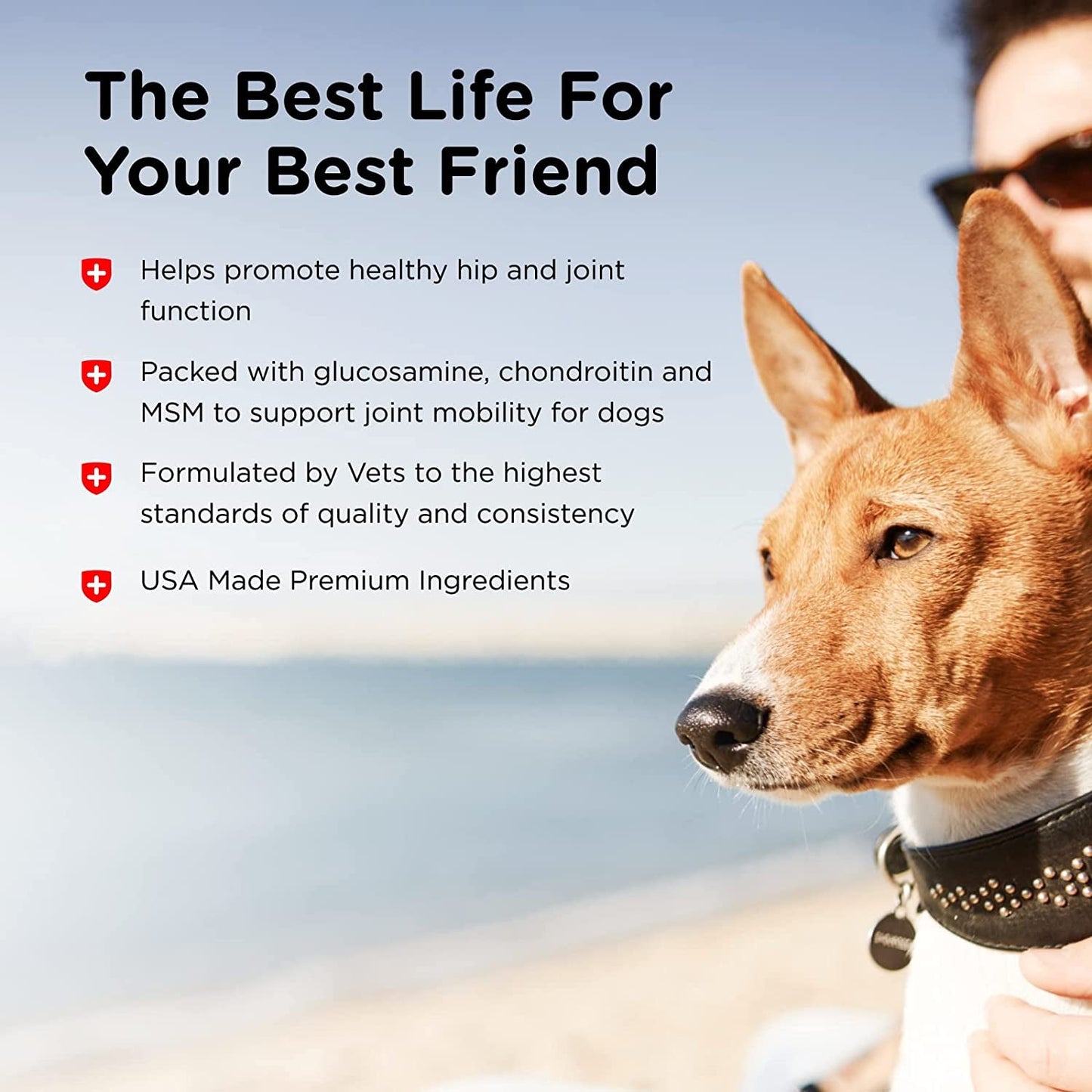 Nutri-Vet Advanced Hip & Joint Support for Senior Dogs – Extra Strength Chewable Tablets